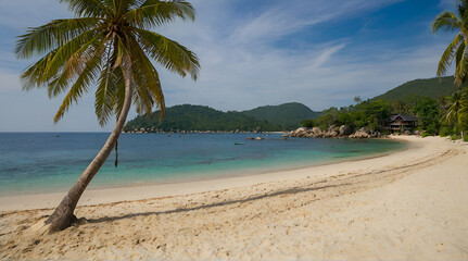 Panoramic view of tropical beach with coconut palm trees. Koh Samui, Thailand.generative.ai
