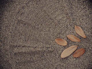Fototapeta na wymiar dry leaves on sand surface for summer minimalist style 