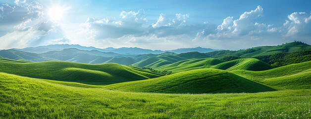 Wide wallpaper background image of long empty grass mountain valley landscape with beautiful greenish grass field and blue sky with white clouds    - obrazy, fototapety, plakaty