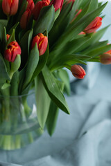 Fresh spring tulips bouquet in vase