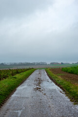 The image depicts a desolate country road stretching into the distance on a rainy day. The gray sky hangs heavy with clouds, casting a somber mood over the scene. Puddles of water accumulated on the