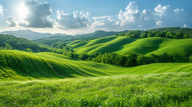 Wide wallpaper background image of long empty grass mountain valley landscape with beautiful greenish grass field and blue sky with white clouds   