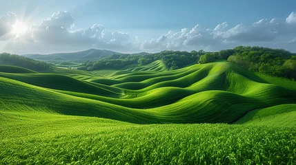 Foto auf Alu-Dibond Wide wallpaper background image of long empty grass mountain valley landscape with beautiful greenish grass field and blue sky with white clouds    © Sudarshana