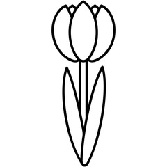 Tulip Icon