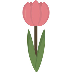 Tulip Illustration