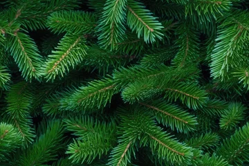 Fotobehang Beautiful seamless pattern with fir tree branches, coniferous forest endless texture. Evergreen nature background. Christmas or new year backdrop. © vlntn