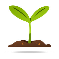 Green young plant vector isolated illustration