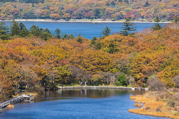 日本の風景・秋　上毛三山　紅葉の赤城山　鳥居峠からの眺望