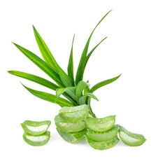 slice aloe vera fresh isolated on white background