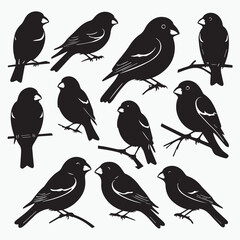 Beautiful vector birds black silhouette 