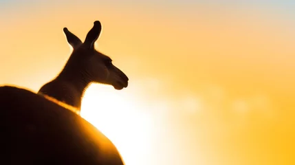 Fotobehang Silhouette of kangaroo on sunset sky. © vlntn