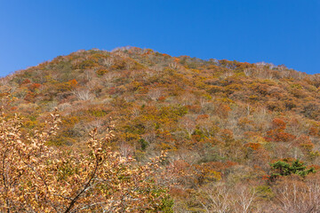 日本の風景・秋　上毛三山　紅葉の赤城山　覚満淵