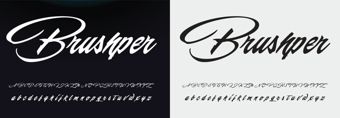 
signature Font Calligraphy Logotype Script Brush Font Type Font lettering handwritten