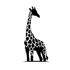 silhouettes of a giraffe
