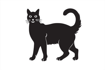 black cat illustration