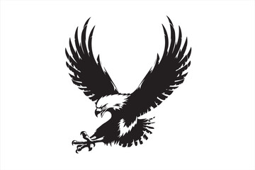 Obraz premium eagle with wings