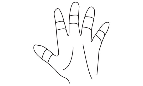 hand one line drawing on white isolated background. Vector illustration
