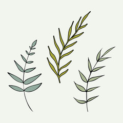 Fototapeta premium Vector illustration of a set of wild plants, branches on a pale green background.