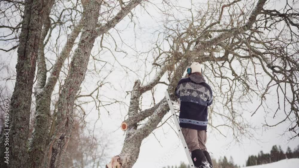 Poster man on ladder cutting tree branch during winter. - static shot