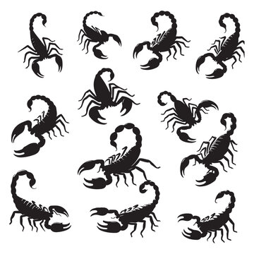 set of scorpions silhouettes