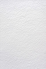 White Embossed Paper Texture