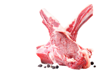  Lamb ribs isolated