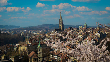 Old Town of Bern, capital of Switzerland, covered with cherry blossom in springtime