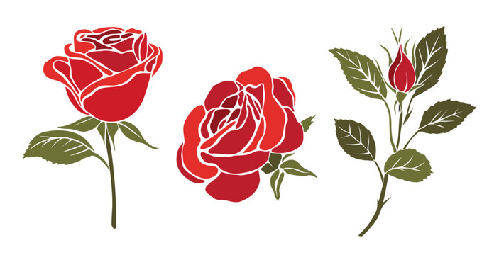 Set of decorative fresh blossoming red rose flowers with steam and leaves. Hand drawn colorful flower icon. Vector cut out illustration clipart isolated on transparent background.