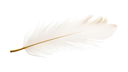 White Feather on White Background. On a White or Clear Surface PNG Transparent Background..