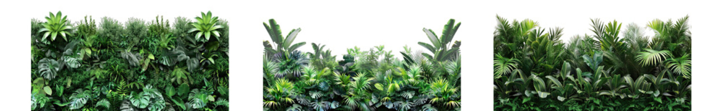 Collection of PNG. Green garden wall from tropical plants isolated on a transparent background.