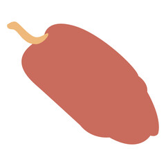 Date Palm Illustration