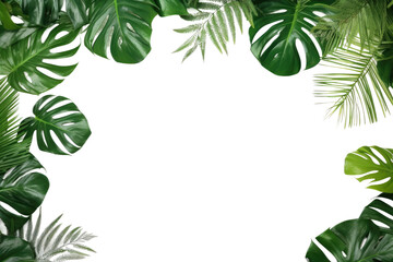 Frame of Green Leaves on White Background. On a White or Clear Surface PNG Transparent Background..