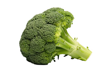 Fresh Head of Broccoli on White Background. On a White or Clear Surface PNG Transparent Background.. - Powered by Adobe