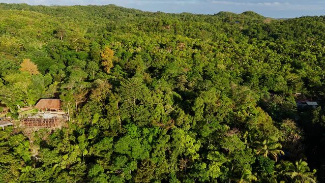 Circular drone footage of jungle of Siquijor in the Philippines.