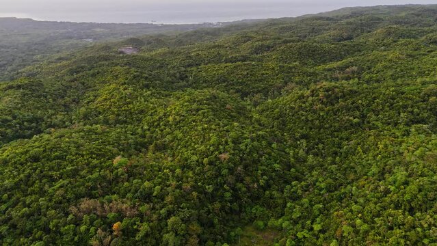 Slow drone footage over the jungle of Siquijor in the Philippines.