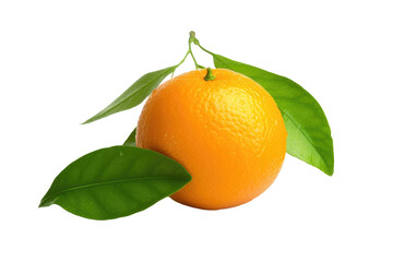 Fresh Orange With Green Leaves on White Background. On a White or Clear Surface PNG Transparent Background..