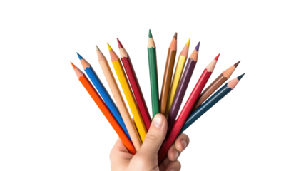 Hand Holding a Bunch of Colored Pencils. On a White or Clear Surface PNG Transparent Background..