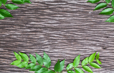 green leave frame isolated on wooden background for add text here.