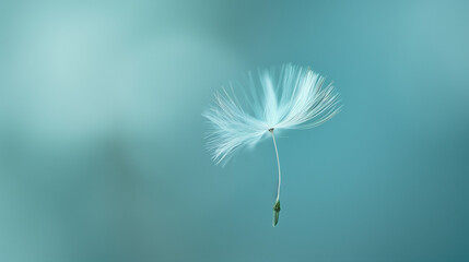 dandelion seed detaching and floating away against a soft blue background