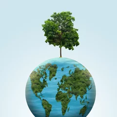 Foto op Canvas Globe with a growing tree © Leo Lintang