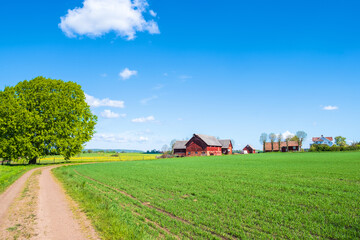 Farm in the country with cultivated fields