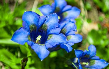 Fototapety na wymiar - Fototapeta24.pl