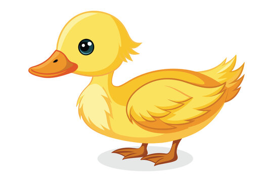  Duckling isolated flat vector illustration
