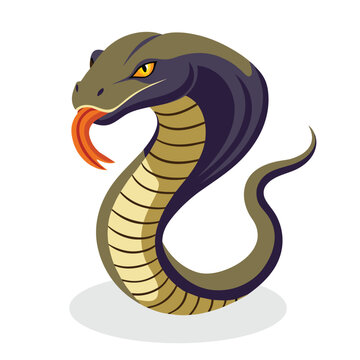  Cobra snake flat vector illustration on white background