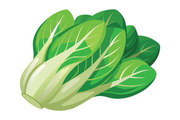 Bok choy Vegetable flat vector illustration - obrazy, fototapety, plakaty