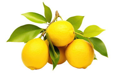 Group of Lemons With Green Leaves on White Background. On a White or Clear Surface PNG Transparent Background..