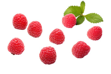 Raspberries With Leaves on a White Background. On a White or Clear Surface PNG Transparent...