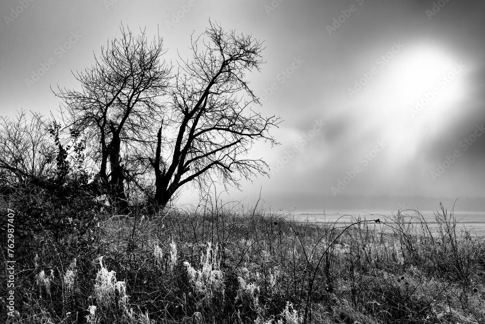 Canvas Prints genetiere path in the french gâtinais regional nature park. cely village