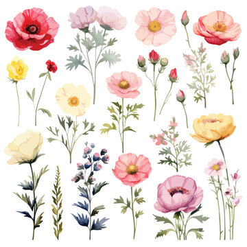 Botanical Flower Clipart clipart isolated on white background