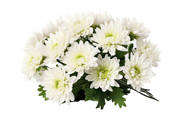 Fototapeta na wymiar Vase Filled With White Flowers on Table. On a White or Clear Surface PNG Transparent Background..
